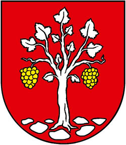 Veľký Kamenec - erb