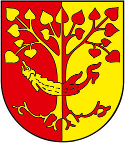 Veľký Meder - erb