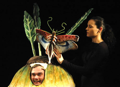 Plagát Ako sa ťahá repka