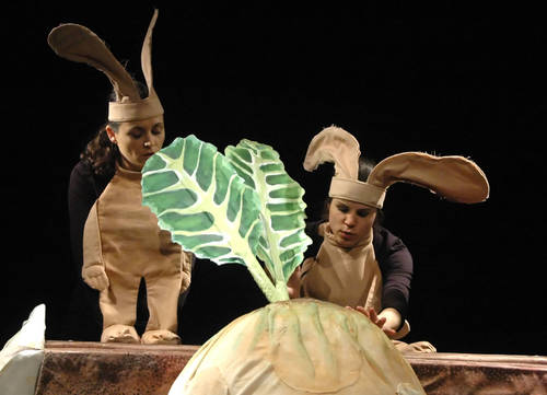 Plagát Ako sa ťahá repka