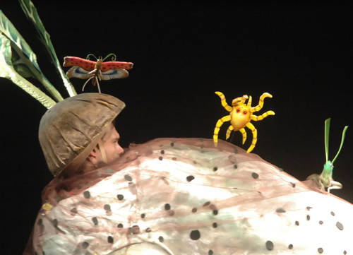 Plagát Ako sa ťahá repka