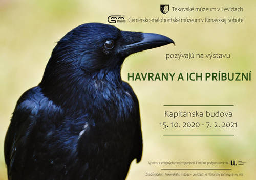 Plagát Havrany a ich príbuzní