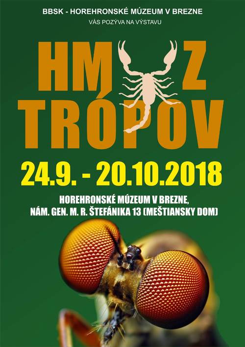 Plagát Hmyz trópov