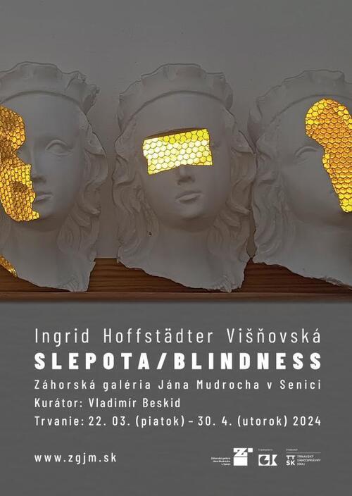 Plagát Ingrid Višňovská: Blindness / Slepota