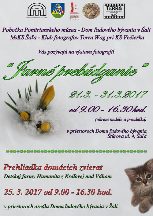 Plagát Jarné prebúdzanie