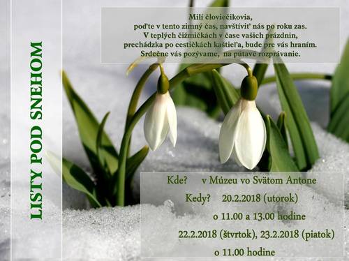 Plagát Listy pod snehom
