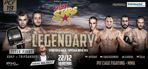 Plagát MMA Pit Cage Fight / The Road to be Legendary