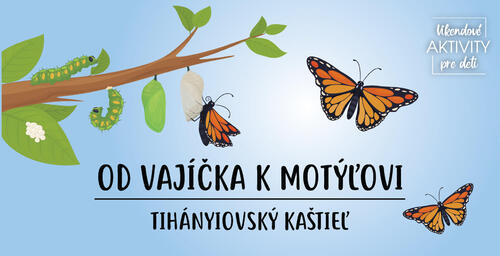 Plagát Od vajíčka k motýľovi
