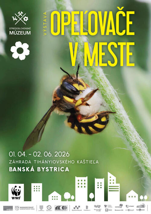 Plagát Opeľovače v meste