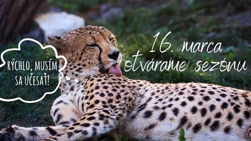 Plagát Otvorenie novej sezóny