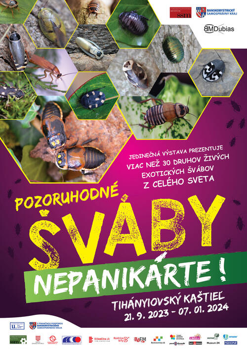 Plagát Pozoruhodné šváby - nepanikárte