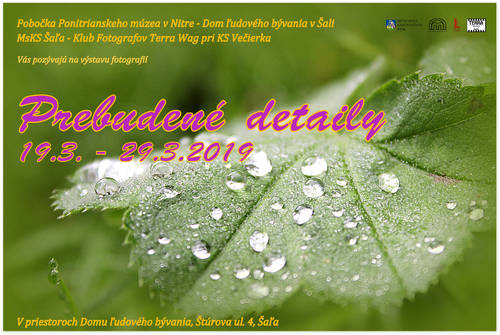 Plagát Prebudené detaily