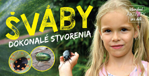 Plagát ŠVáby dokonalé stvorenia