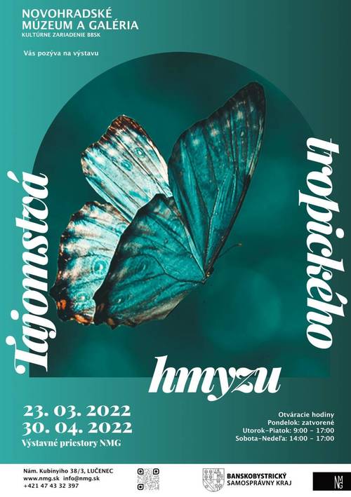 Plagát Tajomstvá tropického hmyzu