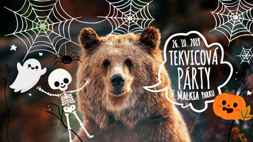 Plagát Tekvicová párty