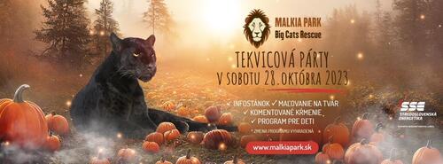 Plagát Tekvicová párty