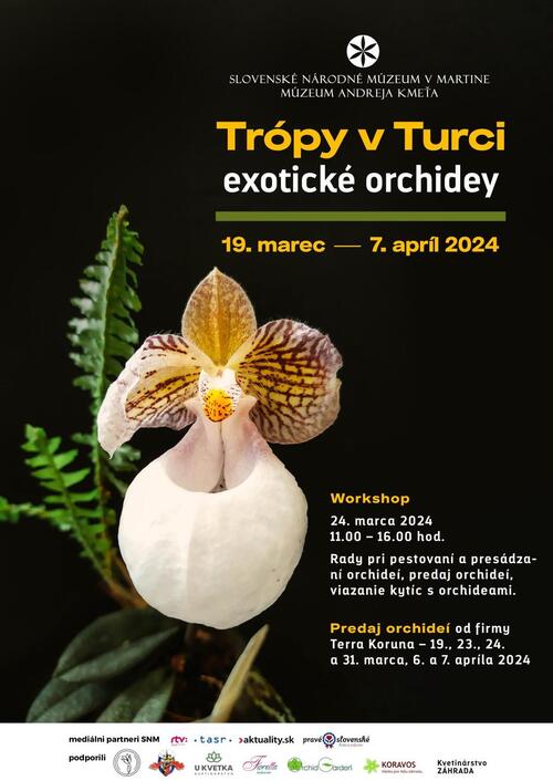 Plagát Trópy v Turci – exotické orchidey