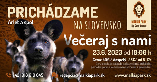 Plagát Večeraj s nami - psi hyenovití