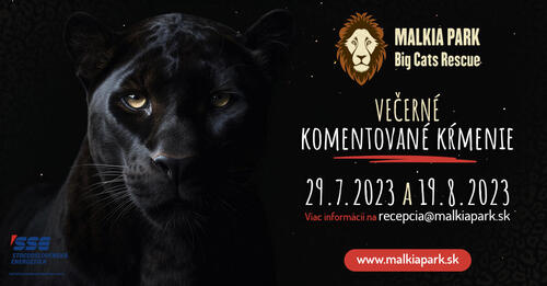 Plagát Večerné komentované kŕmenie bez grilovačky