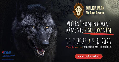 Plagát Večerné komentované kŕmenie s grilovačkou