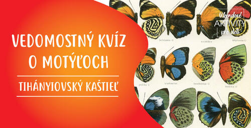 Plagát Vedomostný kvíz o motýľoch