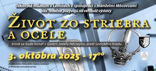 Plagát Život zo striebra a ocele