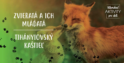 Plagát Zvieratá a ich mláďatá