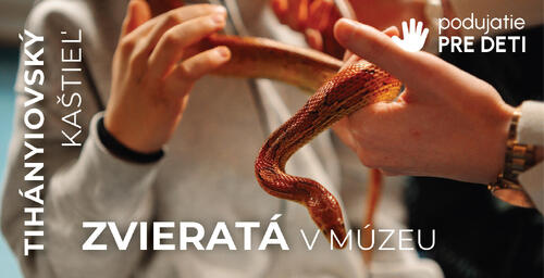 Plagát ZVIERATÁ v MÚZEU