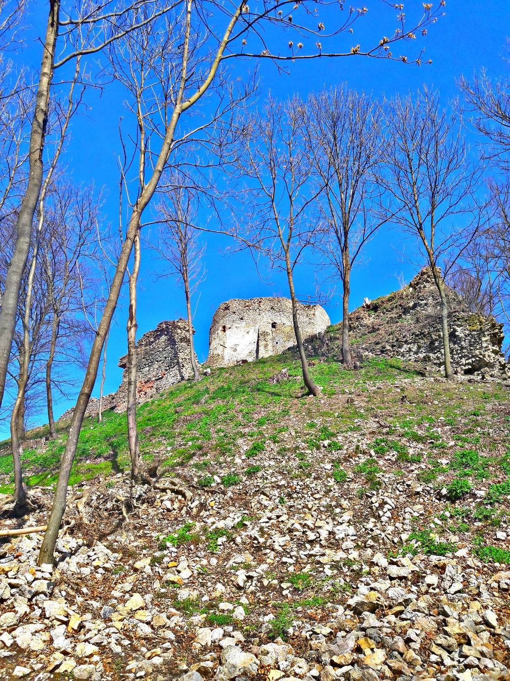 Hrad Jasenov