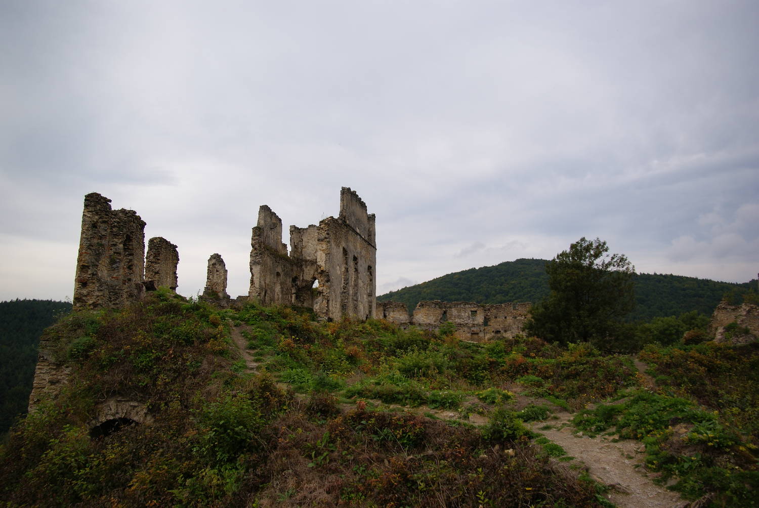 Považský hrad