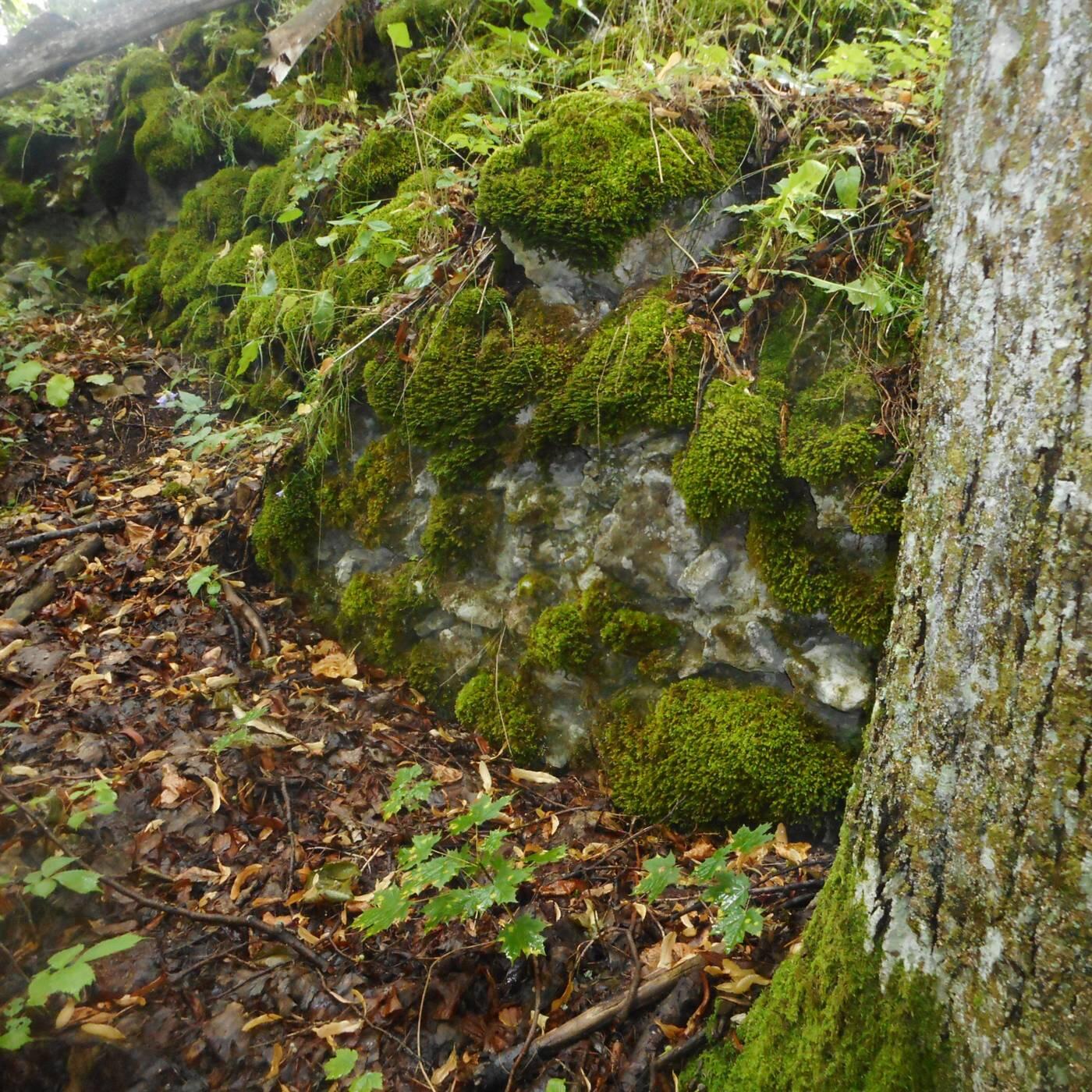 Hrad Tisovec