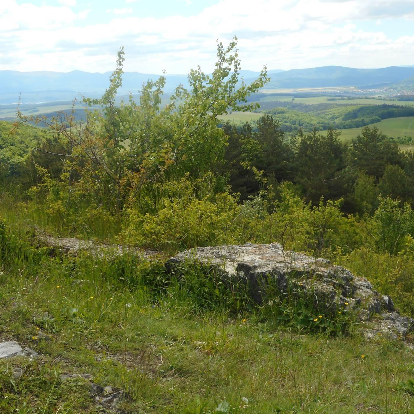 Hrádok Dlžín