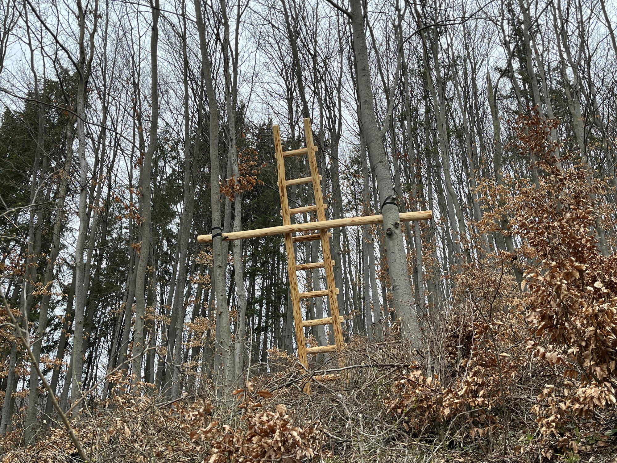 Rebrík do neba Rajecké Teplice