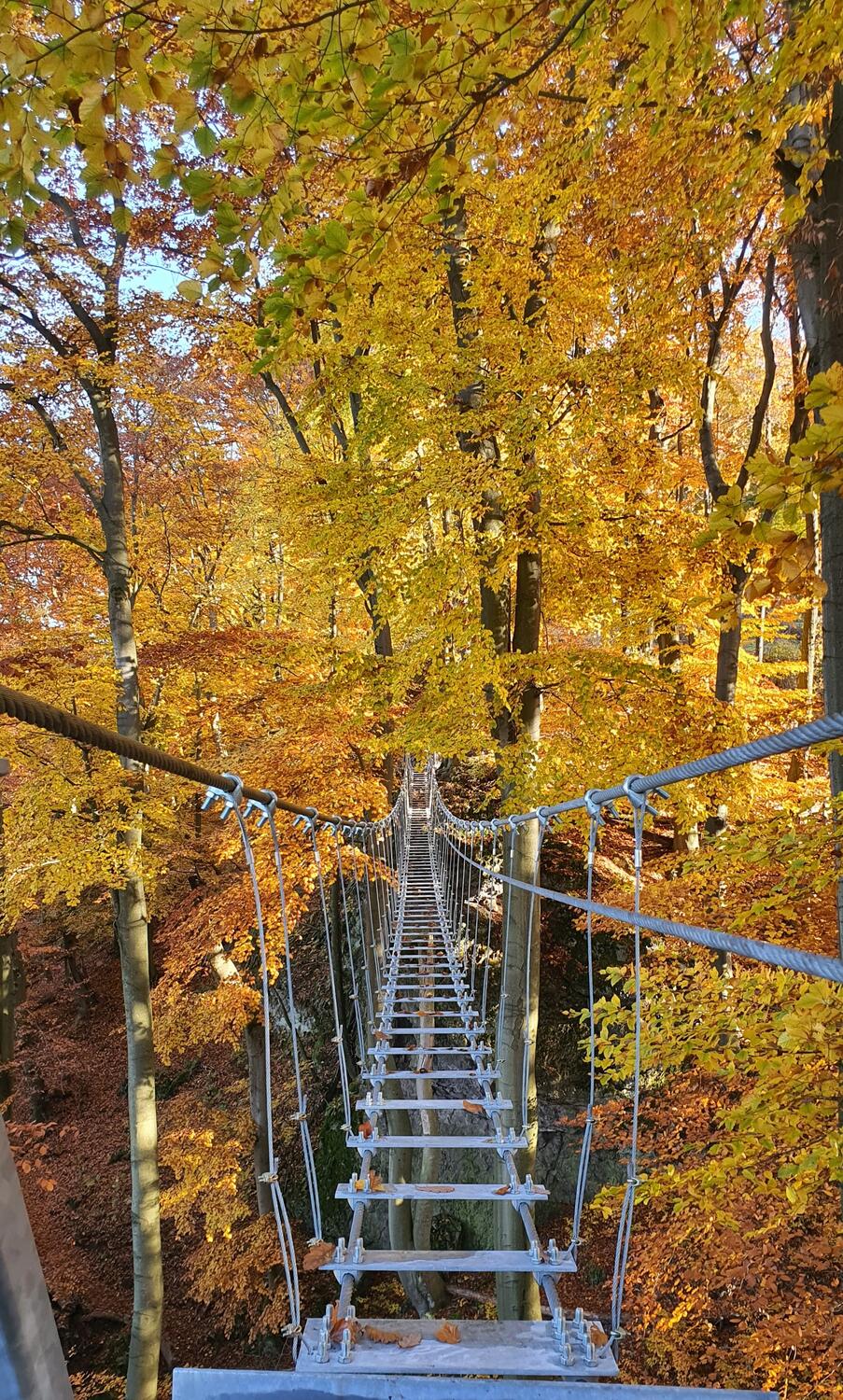 Via Ferrata Sokolie skaly