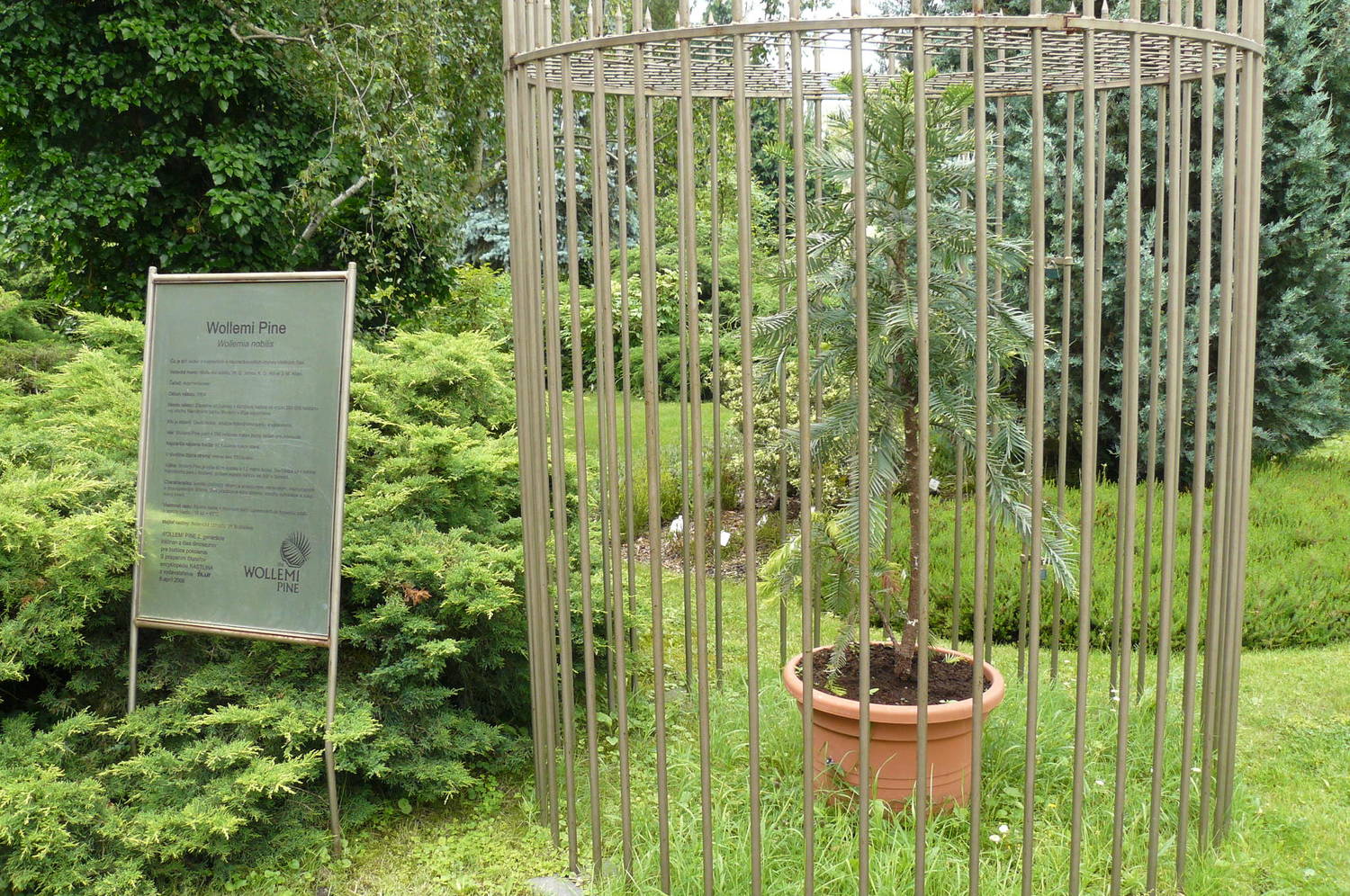 Botanická záhrada Univerzity Komenského