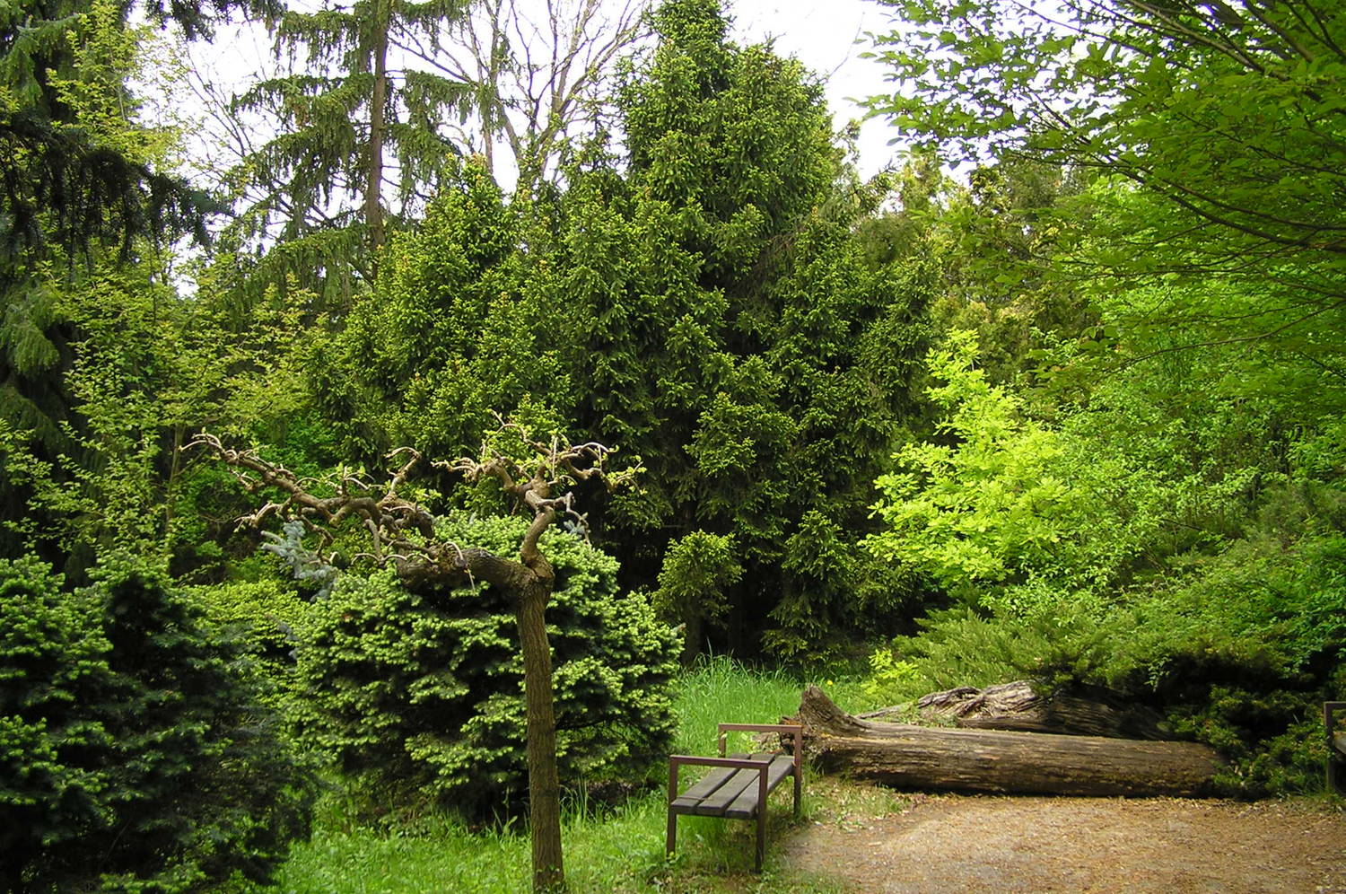 Arborétum Mlyňany