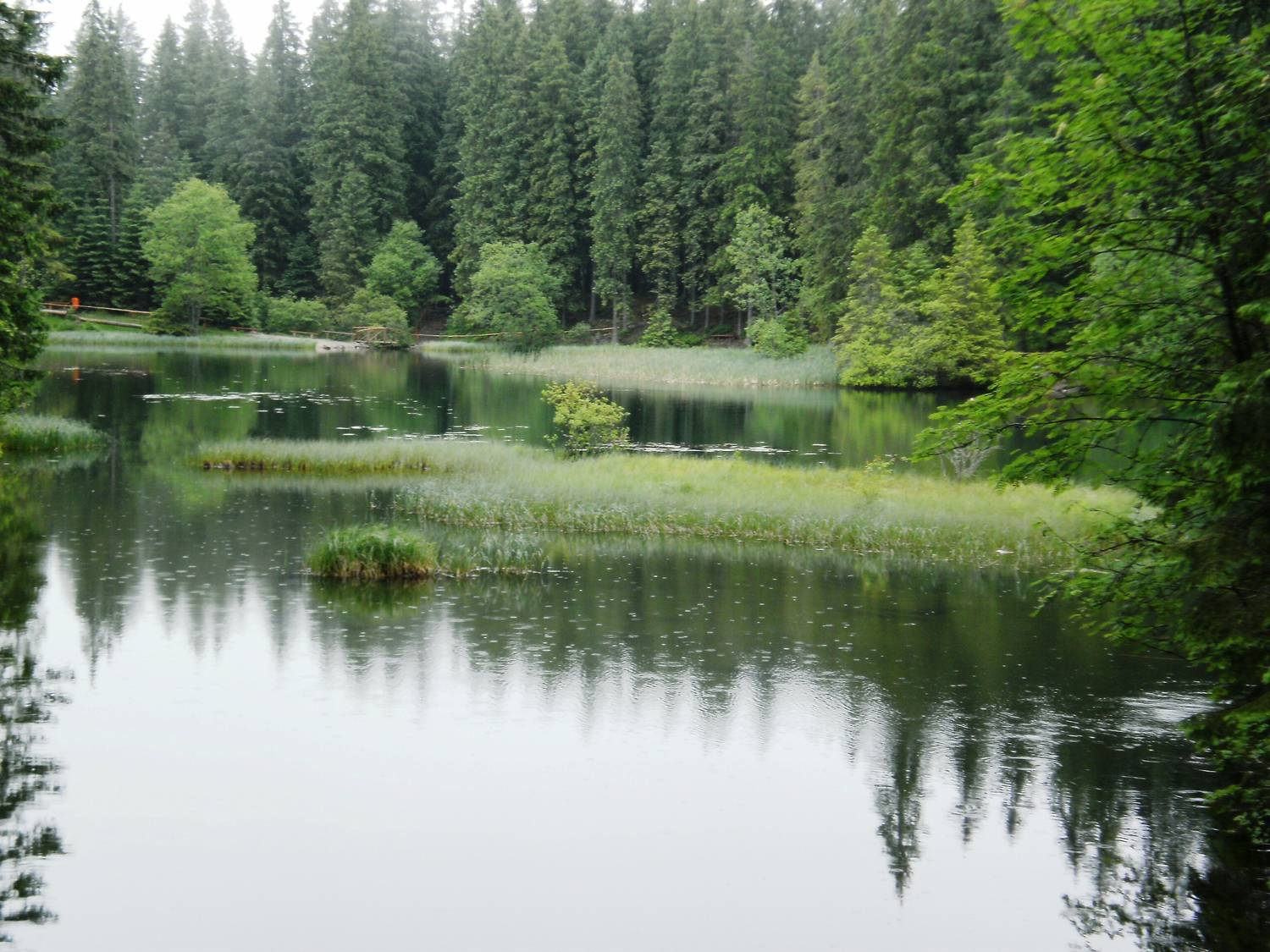 Vrbické pleso